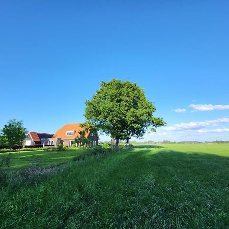 Bed & Breakfast De Vink Terschuur Exteriér fotografie
