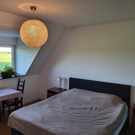 Bed & Breakfast De Vink Terschuur Exteriér fotografie