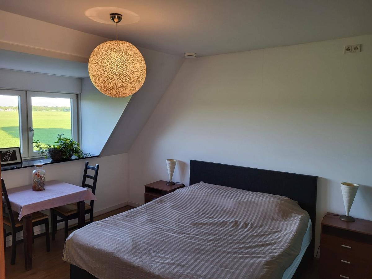 Bed & Breakfast De Vink Terschuur Exteriér fotografie